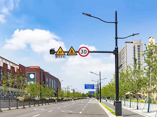 綜合路燈桿 HZ-ZHLDG-009